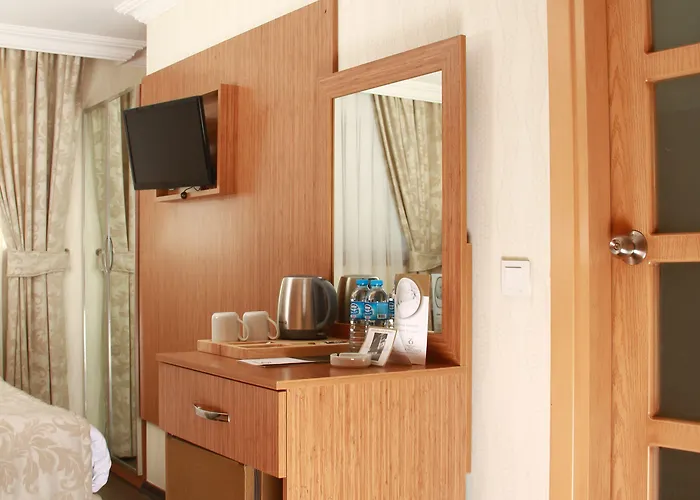 Hotel Kozan 3*